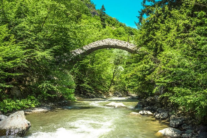 Tbilisi Nature